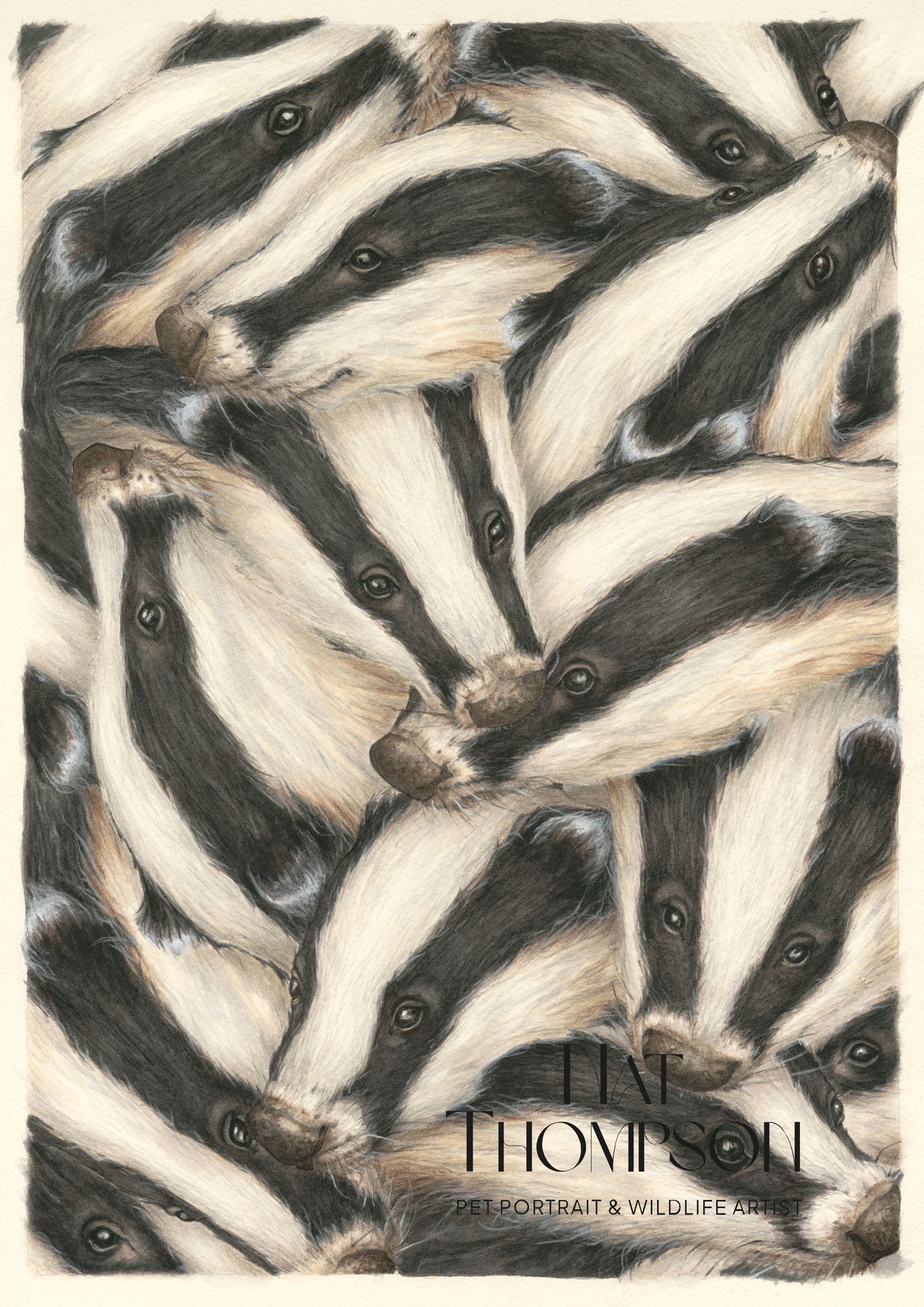 "The Full Cete" - Badgers Fine Art Giclée Watercolour Print - A3 Print Only