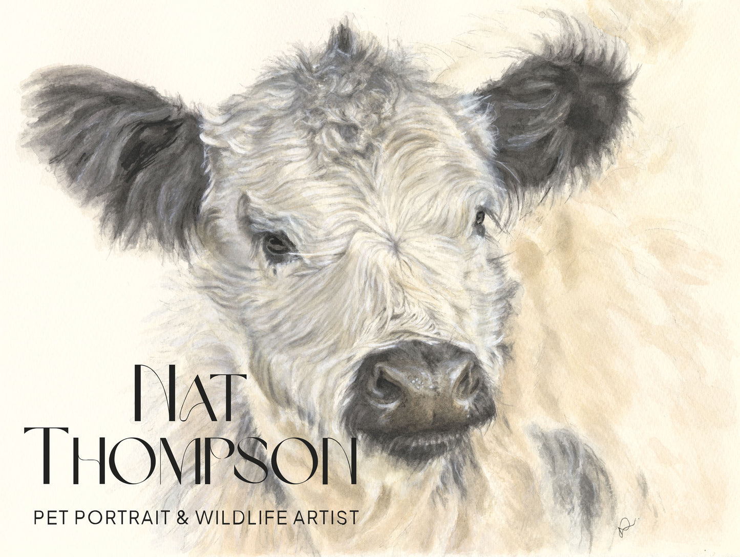 "She's so Fluffy!" - Baby Cow Fine Art Giclée Watercolour Print - A3 Print Only