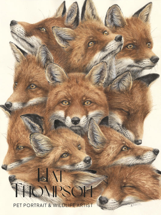'A Proper Skulk' - Foxes Fine Art Giclee Watercolour Print