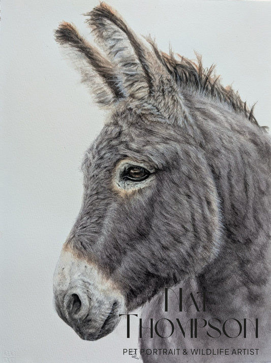 'Donkey!' - Fine Art Giclée Watercolour Print - A3 Print Only