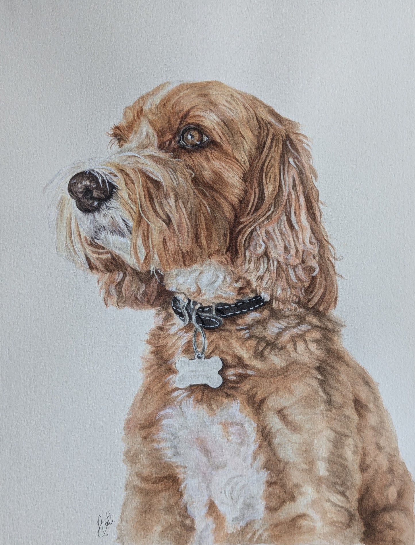 Christmas Offer - Personalised Pet Portrait Watercolour Voucher (A3)