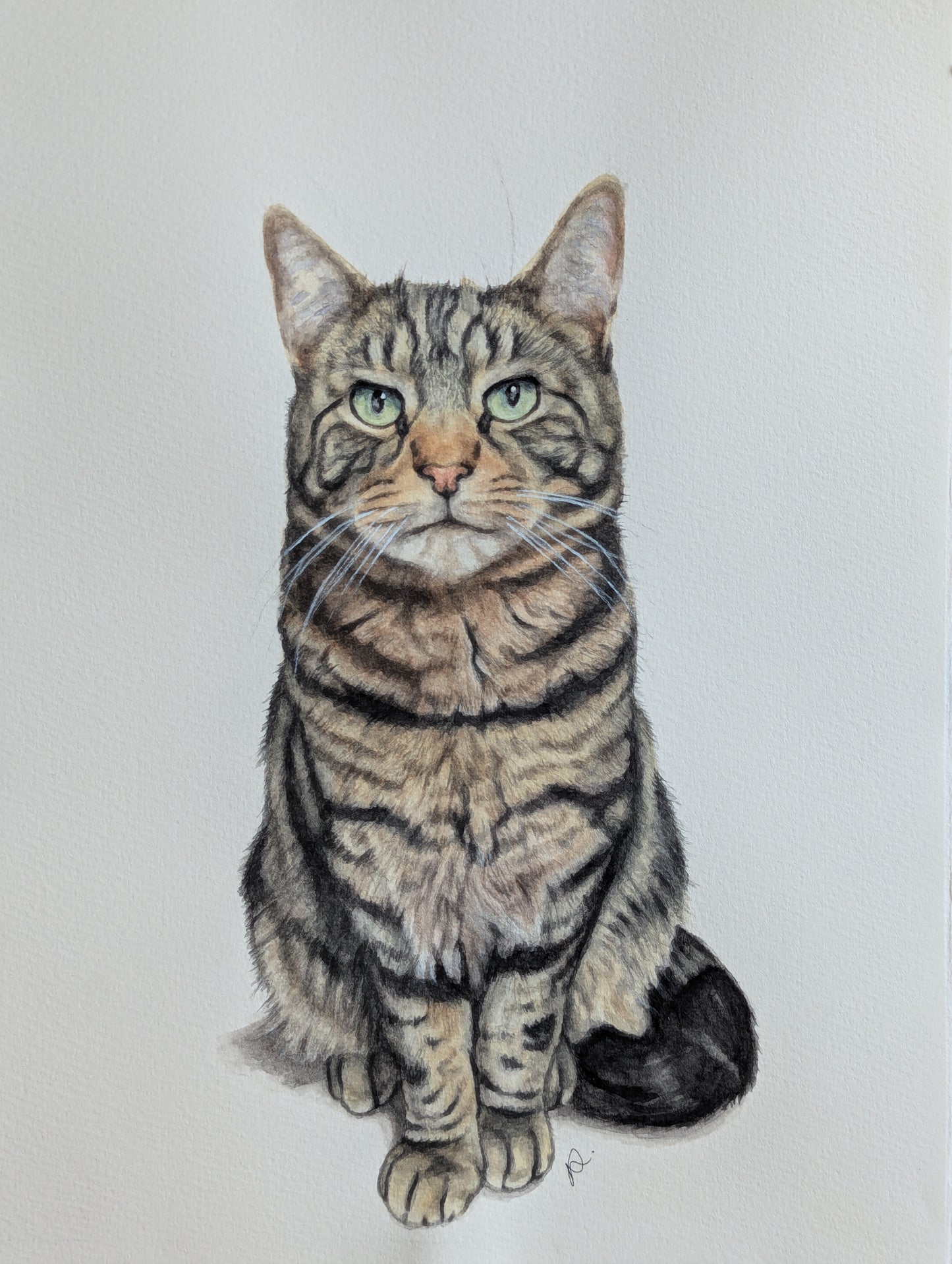 Christmas Offer - Personalised Pet Portrait Watercolour Voucher (A3)